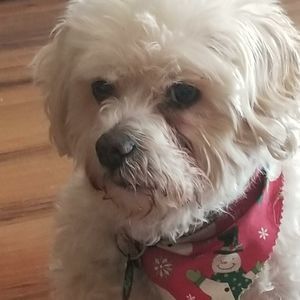 Meet your Posher, Sharon